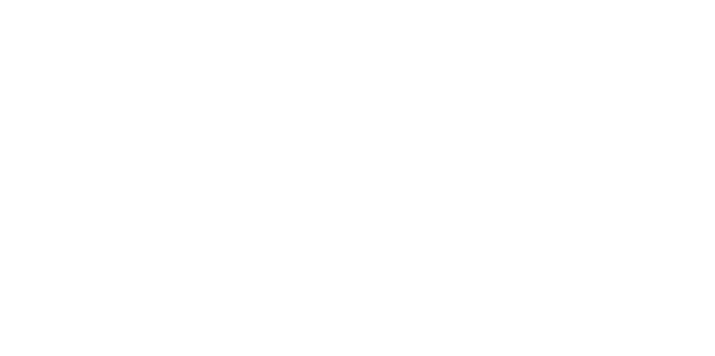 BioHealing Wellness Original Logo White